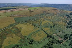 Photo 24- click for photo gallery